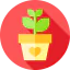 Growth 图标 64x64