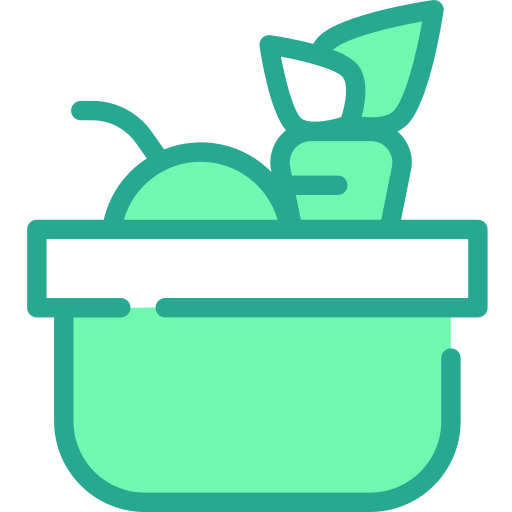 Healthy food icon