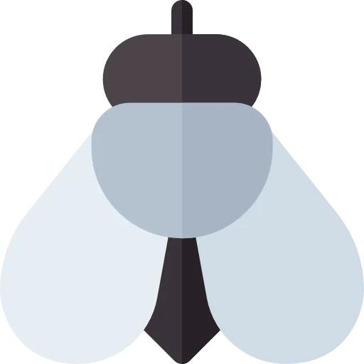 Fly icon