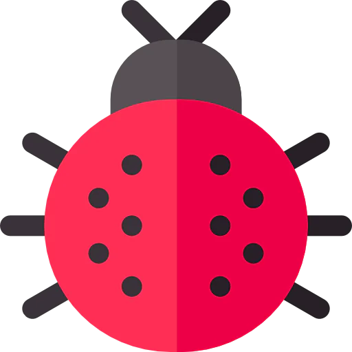 Ladybug 상