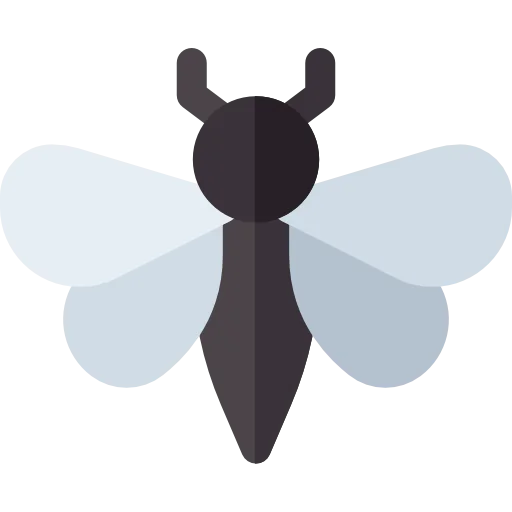 Moth icon