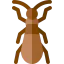 Bug アイコン 64x64