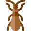 Bug 图标 64x64