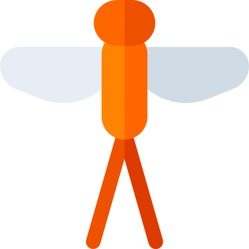 Dragonfly icon