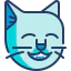 Cat icon 64x64