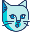 Cat icon 64x64