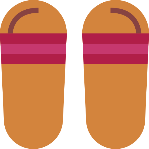 Flip flops Symbol