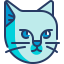 Cat icon 64x64