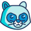 Raccoon icon 64x64