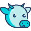 Cow icon 64x64