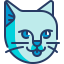 Cat icon 64x64