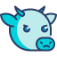 Cow icon 64x64