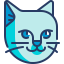 Cat icon 64x64