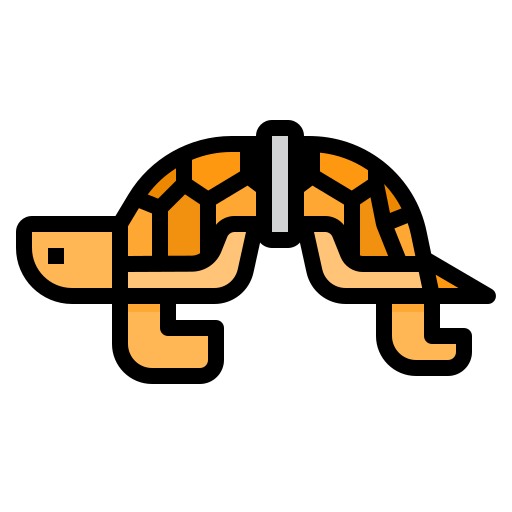 Turtle icon