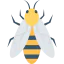 Пчела иконка 64x64