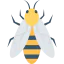 Bee icon 64x64