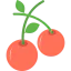 Berry icône 64x64