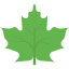 Leaf Ikona 64x64