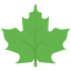 Leaf 图标 64x64