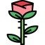 Rose icon 64x64