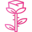 Rose icon 64x64