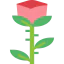 Rose icon 64x64