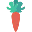 Carrot icon 64x64