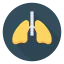 Lungs 상 64x64