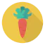 Carrot icon 64x64