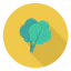 Lettuce 상 64x64