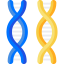 Хромосома иконка 64x64