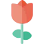 Rose іконка 64x64