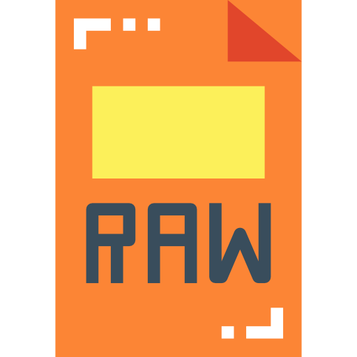 Raw file icon