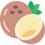 Coconut icon 64x64