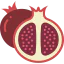Pomegranate icon 64x64