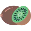 Kiwi icon 64x64