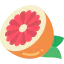 Grapefruit icon 64x64