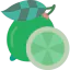 Lime icon 64x64