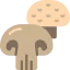 Mushrooms icon 64x64