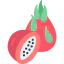 Dragon fruit icon 64x64