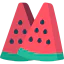 Watermelon icon 64x64