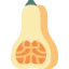Butternut ícone 64x64