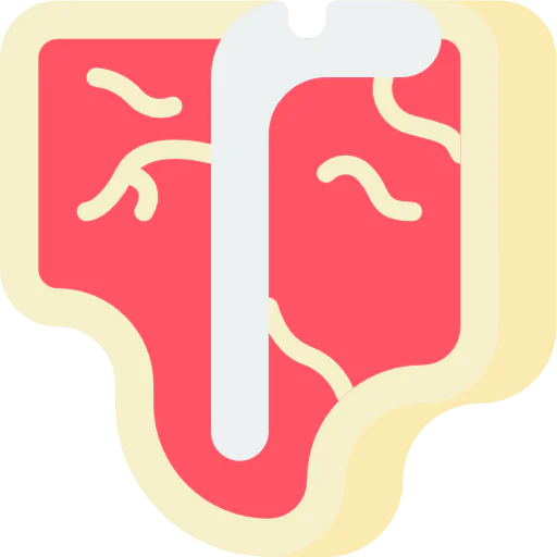 Steak icon
