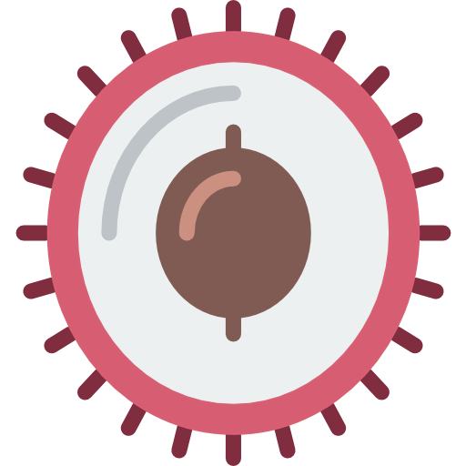 Lychee icon