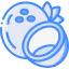 Coconut icon 64x64