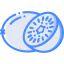 Kiwi icon 64x64
