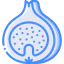 Fig ícone 64x64