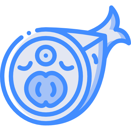 Fish icon