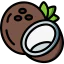 Coconut icon 64x64
