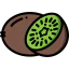 Kiwi icon 64x64